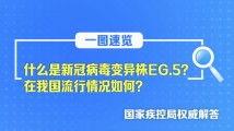 亚精产品二三三区视在线